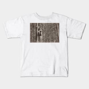 Bird feeder on a tree in winter Kids T-Shirt